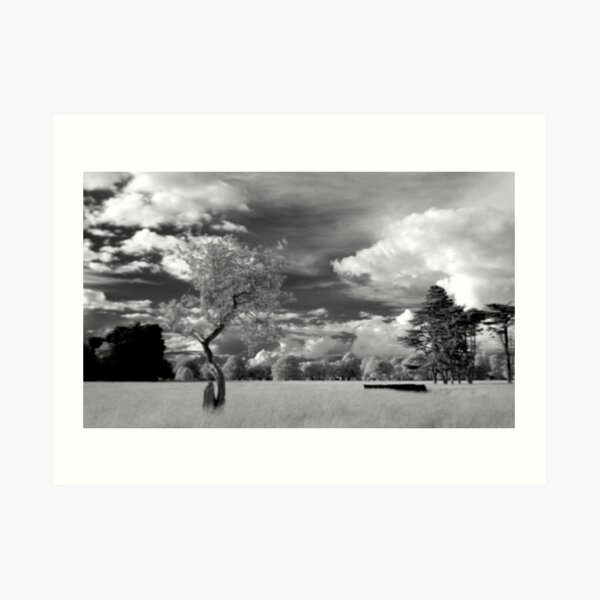 The Phoenix Park in Infra-Red Art Print