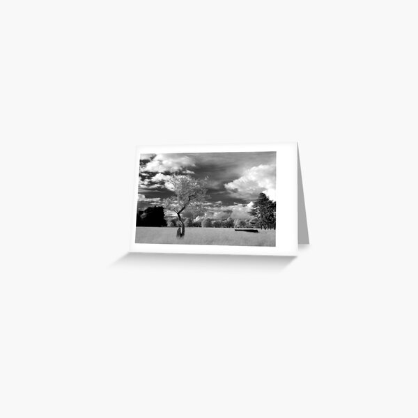 The Phoenix Park in Infra-Red Greeting Card