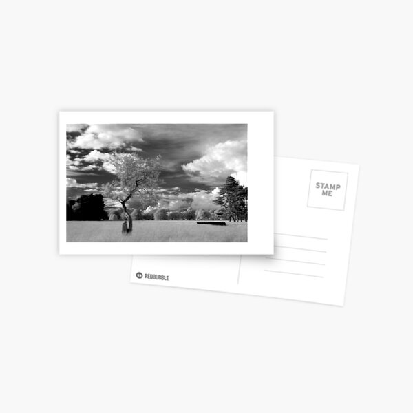The Phoenix Park in Infra-Red Postcard