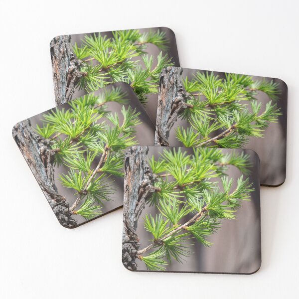 Item preview, New Growth designed and sold by suburbanwilds.