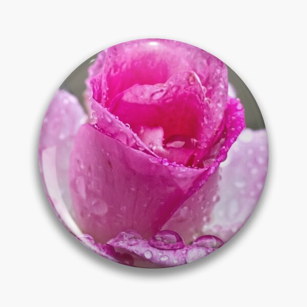 Item preview, Pink rose in the rain designed and sold by Art in Nature.