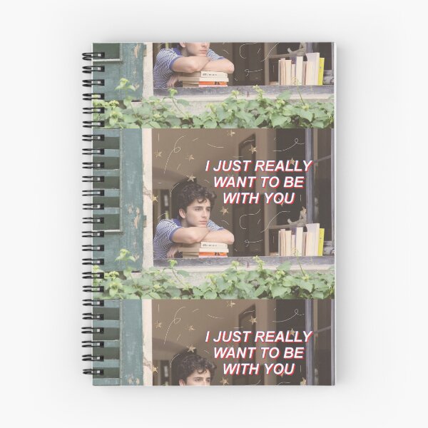 Item preview, Elio CMBYN Window designed and sold by broadwaycantdie.