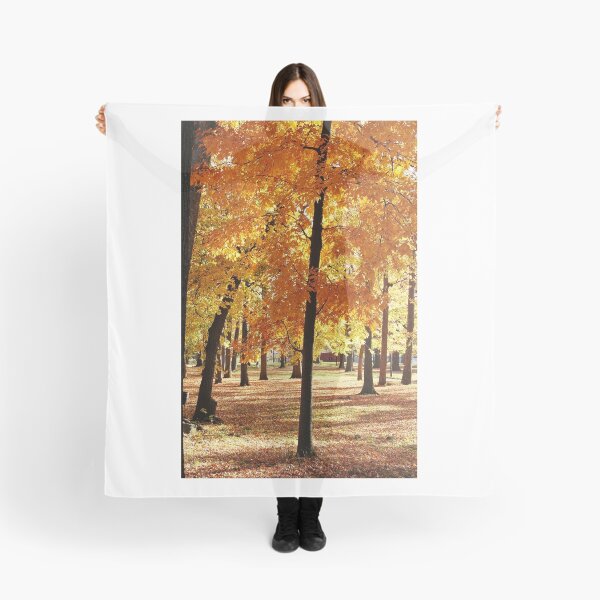 Item preview, Autumn in New York designed and sold by Alberto DeJesus.