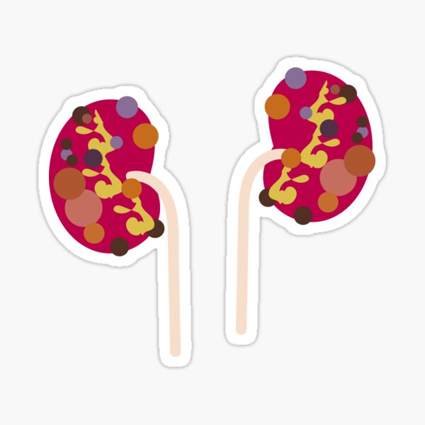 Polycystic Kidney Sticker