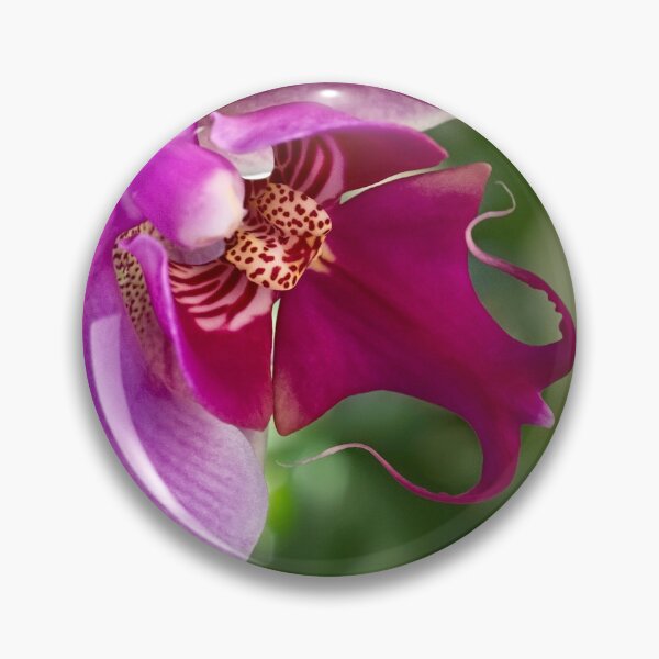 Artikelvorschau, Phalaenopsis-Orchidee entworfen und verkauft von Art in Nature.