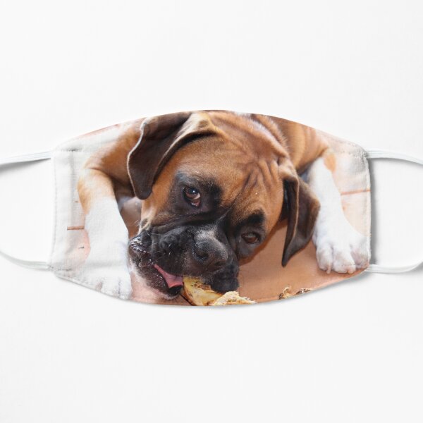 Mine All Mine ~ Boxer Dog Series Mask