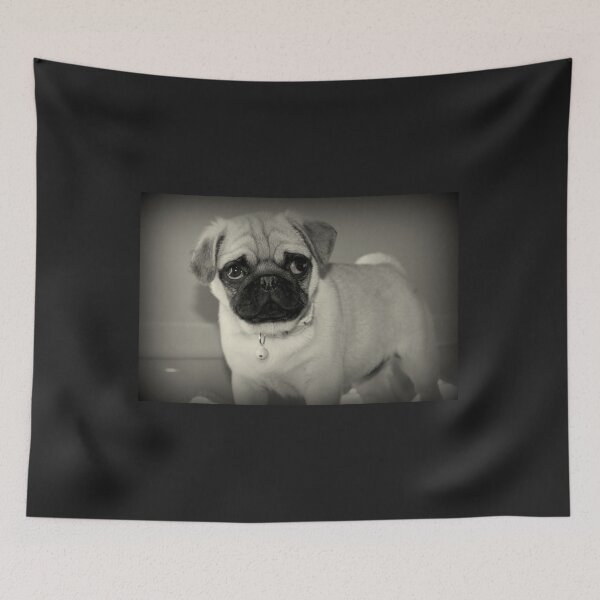 Item preview, Coco The Pug designed and sold by Evita.
