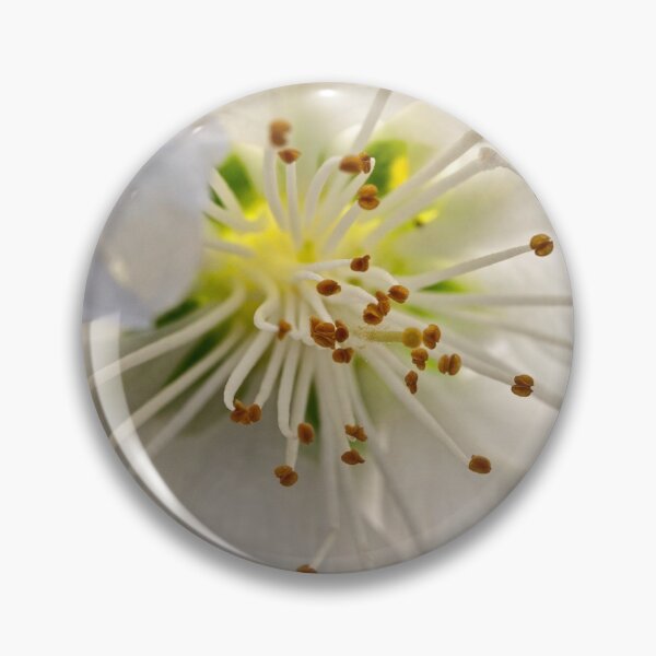 Item preview, Ornamental pear blossom designed and sold by Art in Nature.