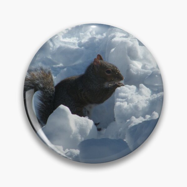 Item preview, Squirrel in Snow, Central Park, New York  designed and sold by lenspiro.