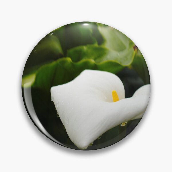 Item preview, Zantedeschia aethiopica designed and sold by Benjamin Fauvel.