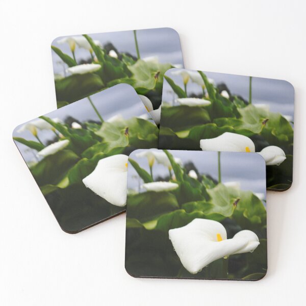 Item preview, Zantedeschia aethiopica designed and sold by Benjamin Fauvel.