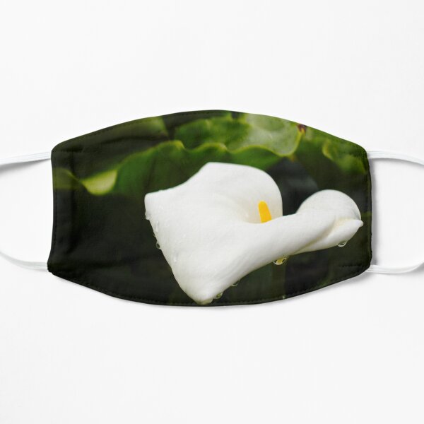 Zantedeschia aethiopica Mask