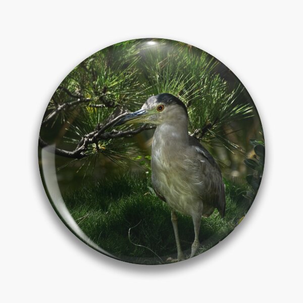 Item preview, Heron checking out new digs designed and sold by Art in Nature.