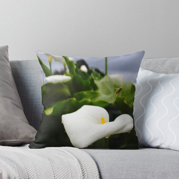 Item preview, Zantedeschia aethiopica designed and sold by Benjamin Fauvel.