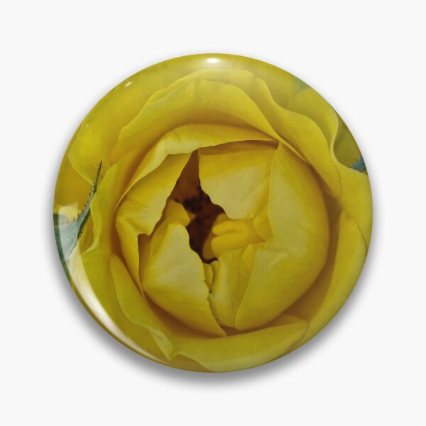 Item preview, Walking in Sunshine designed and sold by Art in Nature.