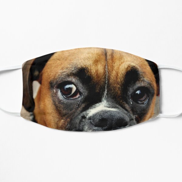 Not Happy - Boxer Dog Series Mask