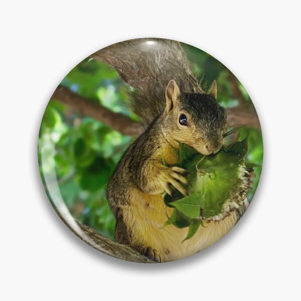 Item preview, Sunflower thief designed and sold by Art in Nature.