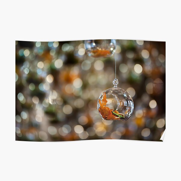 Suspended Bokeh Poster