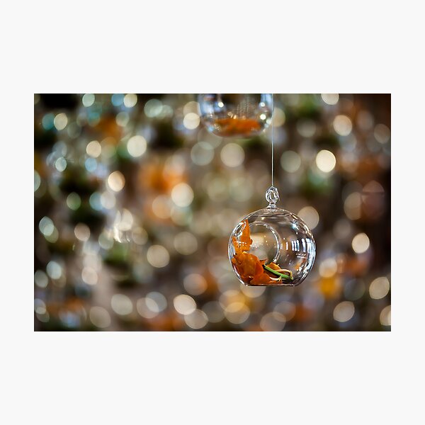 Suspended Bokeh Photographic Print