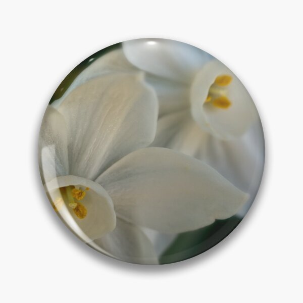 Item preview, Paperwhite sisters designed and sold by Art in Nature.