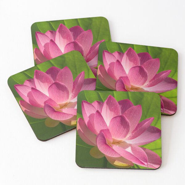 Item preview, Lotus Flower Raining Grace, Symbol Of Abundance, Good Fortune And Wealth  designed and sold by TJ Devadatta Best.