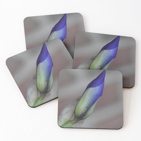 Item preview, Iris bud 2 designed and sold by Tonia Delozier's Photography .