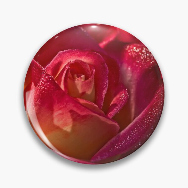 Item preview, Rose sparkling with morning dew designed and sold by Art in Nature.