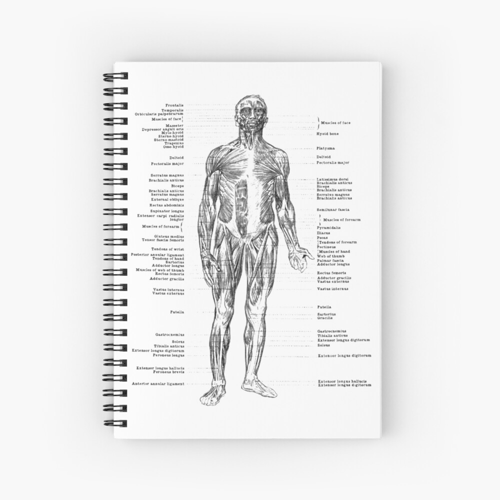 Anatomy of Human Muscles Spiral Notebook