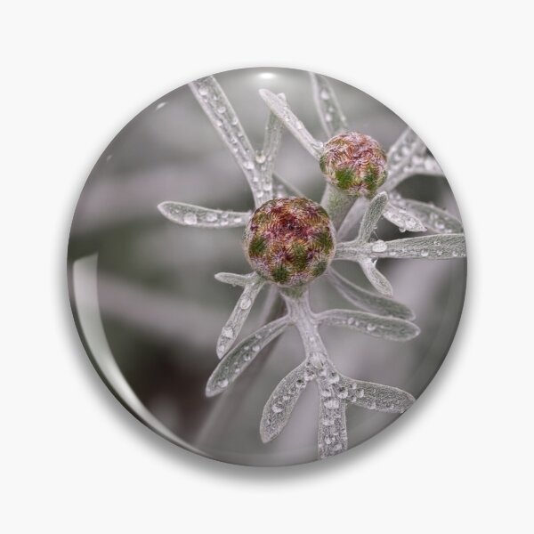 Artikelvorschau, Ruby Knospen auf Silber entworfen und verkauft von Art in Nature.