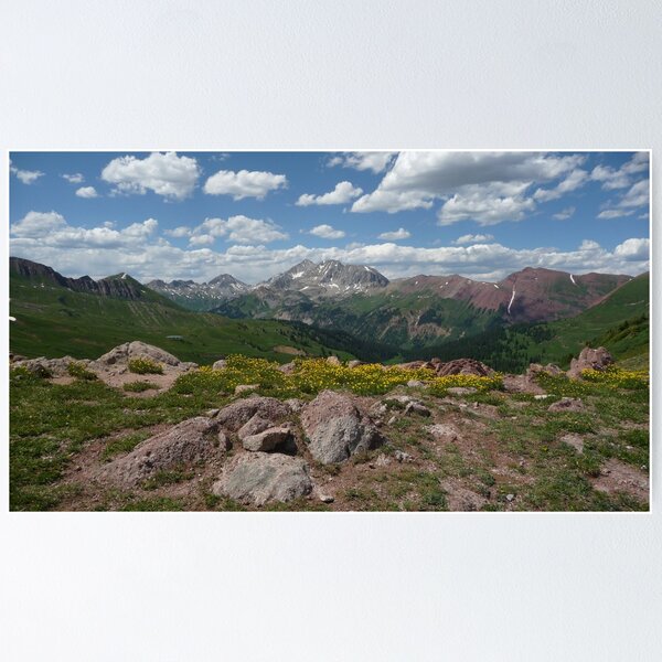 Mountains and wildflowers Poster
