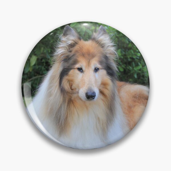 Item preview, Sable Rough Collie designed and sold by KarenWoodArt.