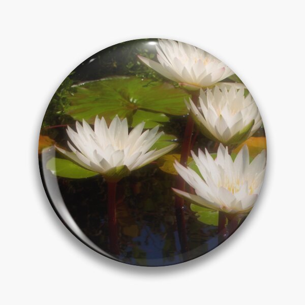 Item preview, Capistrano lilies designed and sold by Art in Nature.