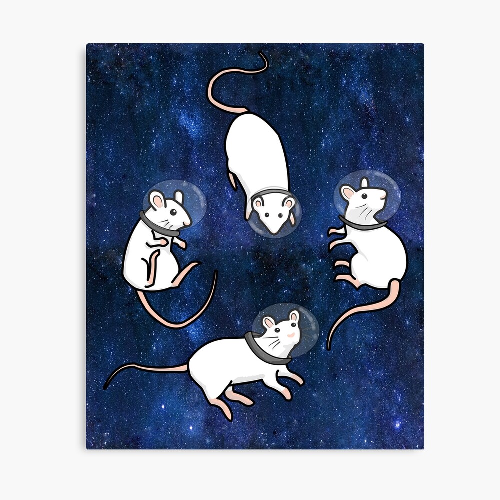 Space Rat 💫💙 — Some Silver and Elise art because I absolutely had