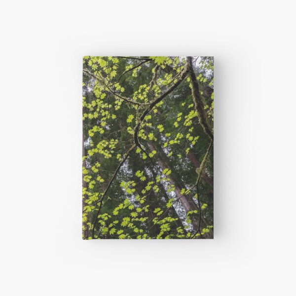 Vine Maple Hardcover Journal