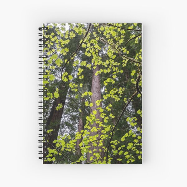 Vine Maple Spiral Notebook