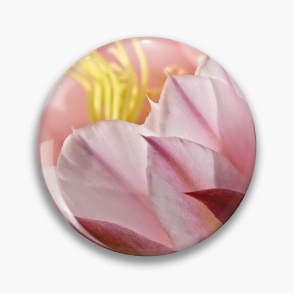 Item preview, Cactus can have a soft side designed and sold by Art in Nature.