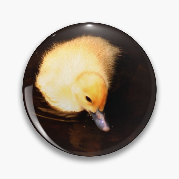 Item preview, Yellow Baby Duckling Swimming Dark Water Portrait designed and sold by Anna Lemos.