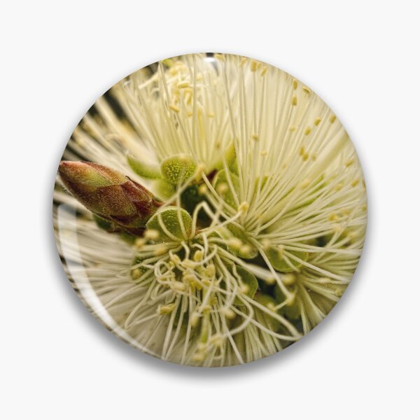 Item preview, Lemon bottlebrush bloom designed and sold by Art in Nature.