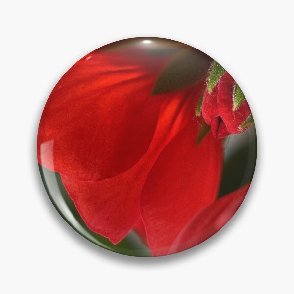 Item preview, New geraniums designed and sold by Art in Nature.