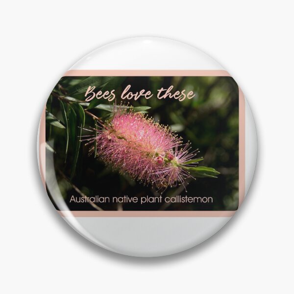 Item preview, Callistemon another attractive Australian native plant designed and sold by Ian McKenzie.
