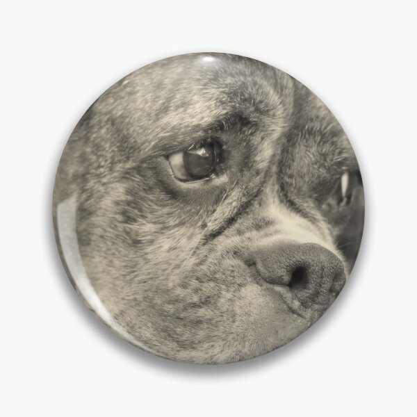 Item preview, Luthien's Portrait In Monochrome - Boxer Dog Series designed and sold by Evita.