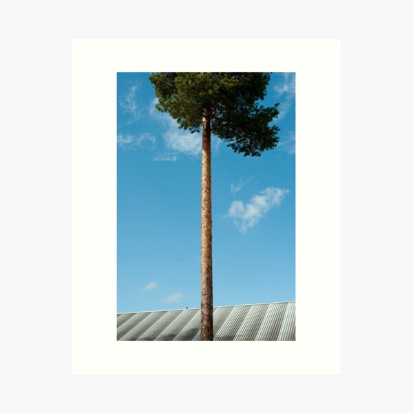 Grow Art Print