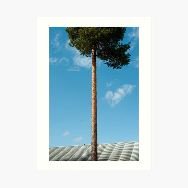 Grow Art Print