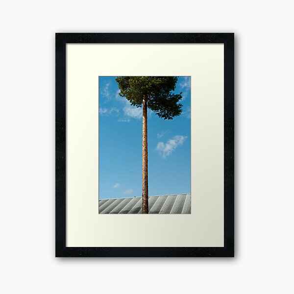Grow Framed Art Print
