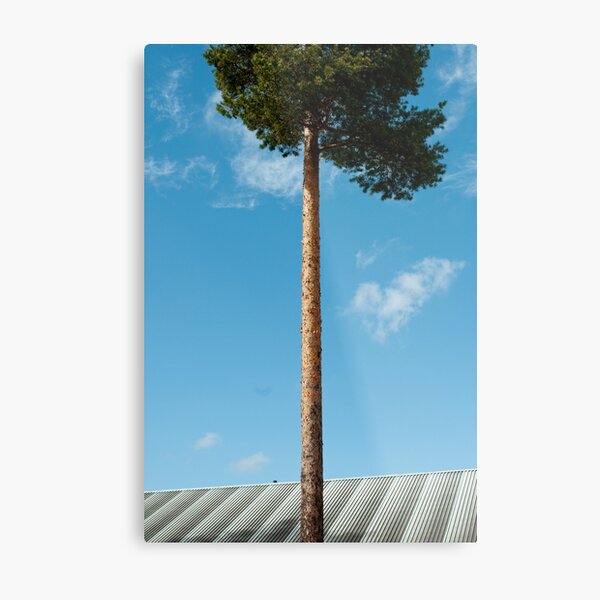 Grow Metal Print
