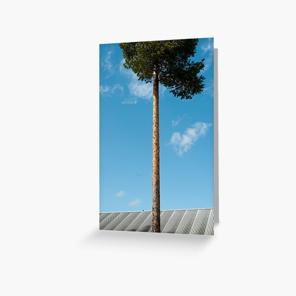 Grow Greeting Card