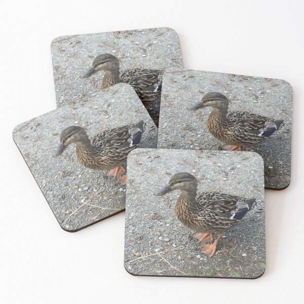 Item preview, Duck designed and sold by Martin Boisvert.