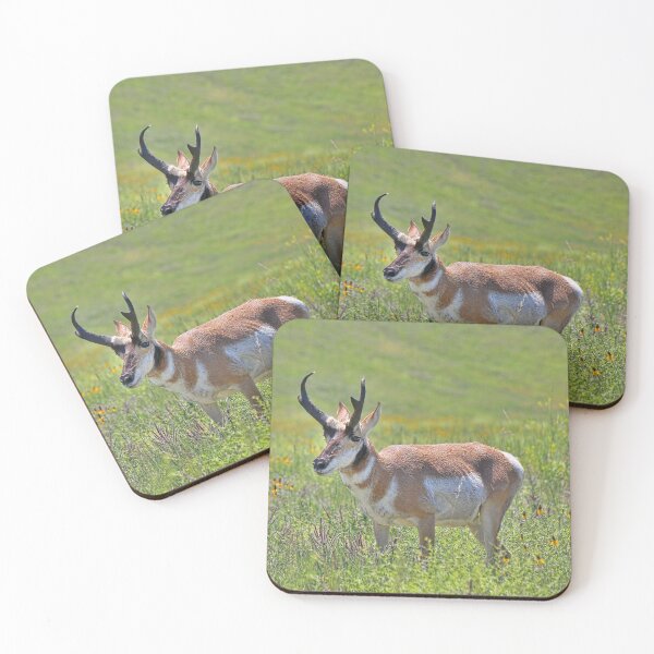 Item preview, Where The Deer And The Antelope Play designed and sold by Lanis Rossi.