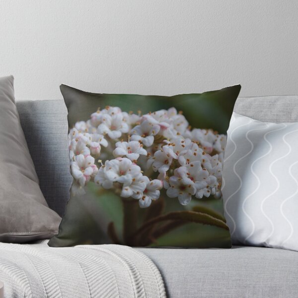 Item preview, Leatherleaf Viburnum designed and sold by lbmaddox.