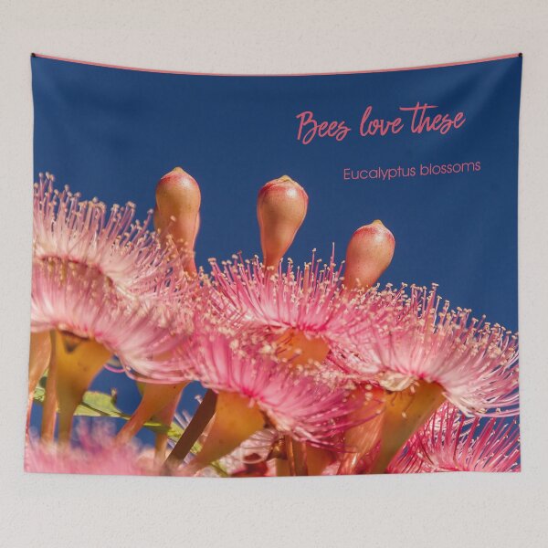 Item preview, Beautiful pink eucalypt blossoms designed and sold by Ian McKenzie.